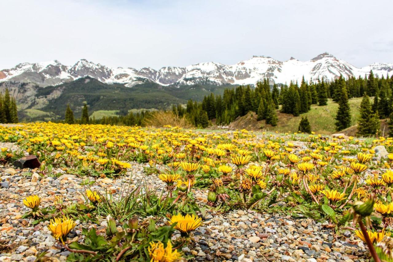 Mountain Lodge Telluride Δωμάτιο φωτογραφία